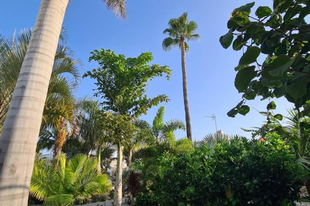 Tropical Paradise Villa In トレビエハ エクステリア 写真